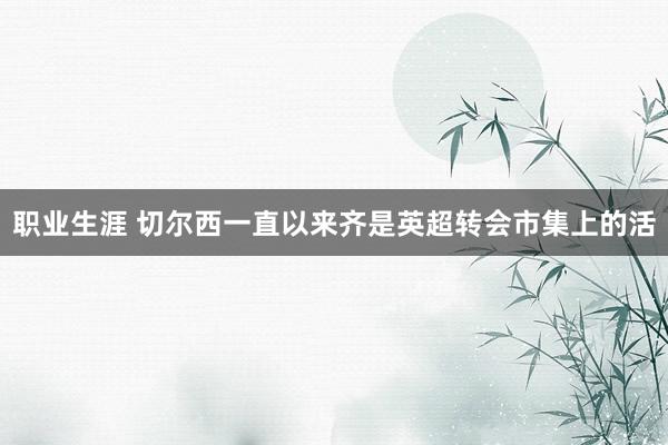 职业生涯 切尔西一直以来齐是英超转会市集上的活