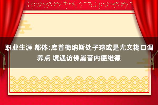 职业生涯 都体:库普梅纳斯处子球或是尤文糊口调养点 境遇访佛曩昔内德维德