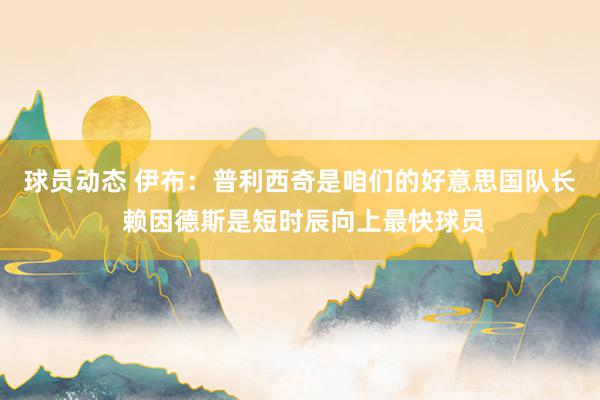 球员动态 伊布：普利西奇是咱们的好意思国队长 赖因德斯是短时辰向上最快球员