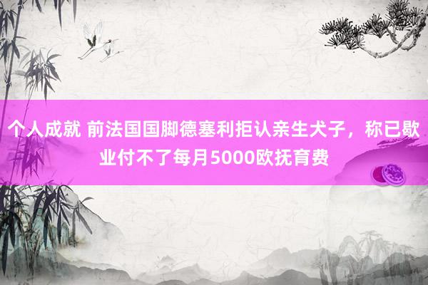 个人成就 前法国国脚德塞利拒认亲生犬子，称已歇业付不了每月5000欧抚育费