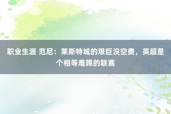 职业生涯 范尼：莱斯特城的艰巨没空费，英超是个相等难踢的联赛