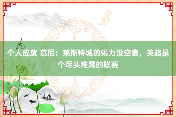 个人成就 范尼：莱斯特城的竭力没空费，英超是个尽头难踢的联赛