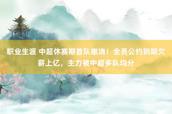 职业生涯 中超休赛期首队撤消！全员公约到期欠薪上亿，主力被中超多队均分