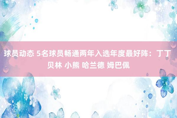 球员动态 5名球员畅通两年入选年度最好阵：丁丁 贝林 小熊 哈兰德 姆巴佩